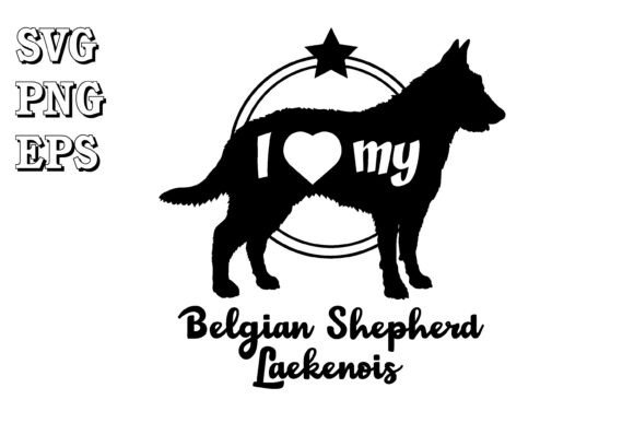 Belgian Shepherd Laekenois Dog